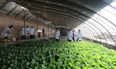 玉树州全面试行食用农产品合格证制度，保障餐桌安全新举措