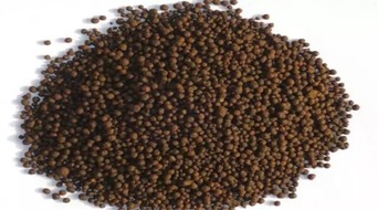 食用农产品价格与生产资料价格双升下的市场分析