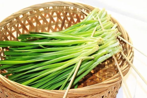 6月1日起，临清韭菜销售需持双证！市民餐桌安全再升级